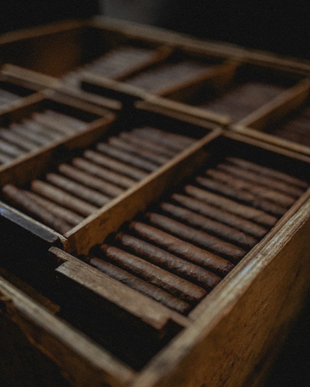 Rows of cigars laid in an open wooden box